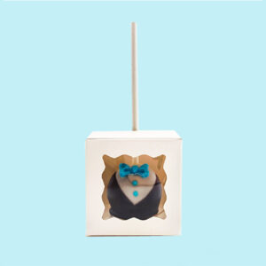 Cake Pop Boxes