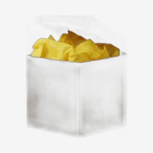 2x2x2 Kraft Boxes