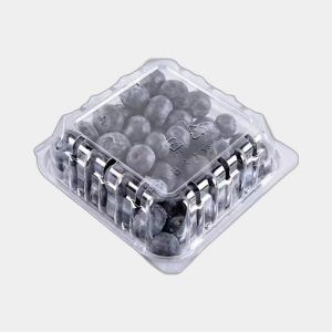 Blueberry Clamshell Packaging