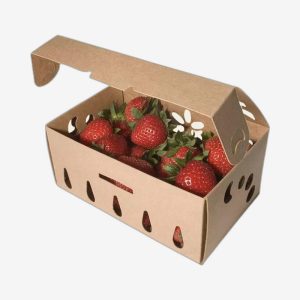 Boxes For Chocolate Covered Strawberries