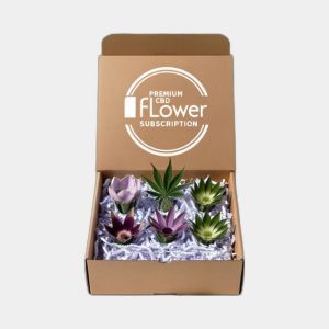 Cbd Flower Subscription Boxes