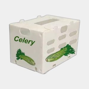 Celery Packaging