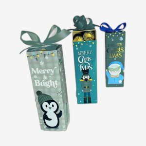 Christmas Winter Slider Boxes