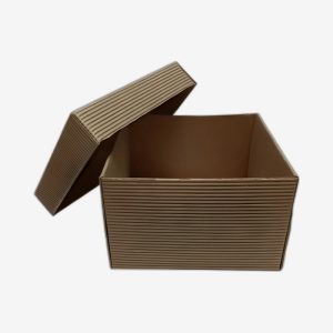 Corrugated Box With Lids