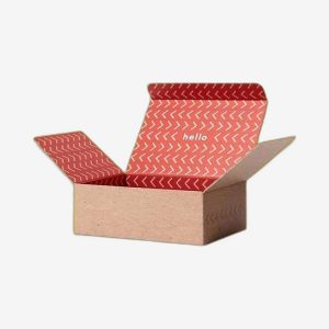 Custom Corrugated Cardboard Reverse Tuck Boxes