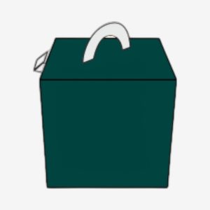 Custom Cube Shaped Carrier Boxes