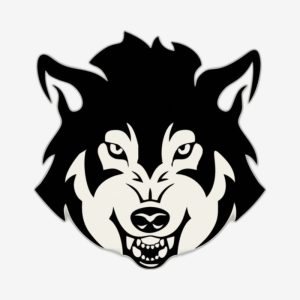 Custom Decals