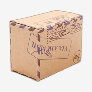 Custom Design Kraft Packaging Box