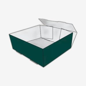 Custom Foot Lock Tray