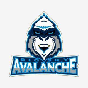 Custom Logo Stickers