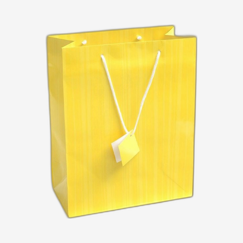 Custom Luxury Shopping Bags - Image 4