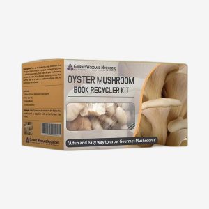 Custom Mushroom Boxes
