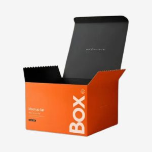 Custom Product Boxes