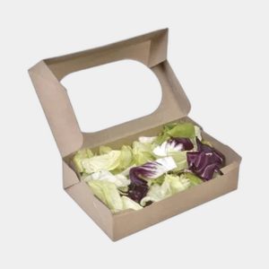 Custom Salad Boxes