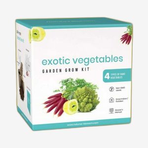 Custom Vegetable Seed Boxes