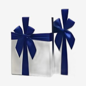 Deluxe Gift Boxes