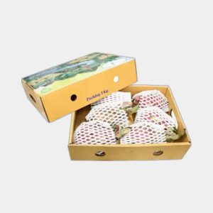Dragon Fruit Packaging