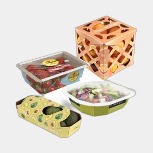 Fruit Salad Packaging