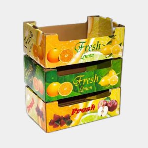 Grape Fruit Packaging