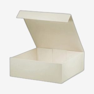 Ivory A4 Shallow Magnetic Boxes