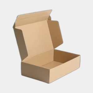 Kraft Apparel Packaging