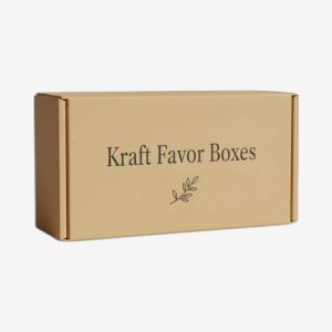 Kraft Favor Boxes