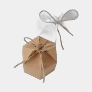 Kraft Party Boxes