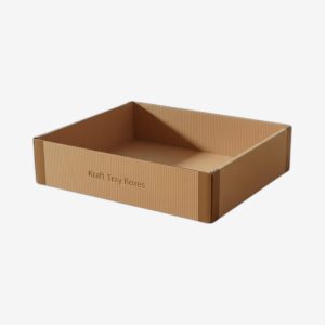 Kraft Tray Boxes