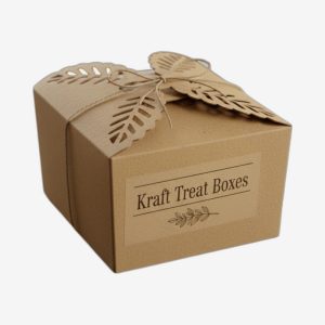 Kraft Treat Boxes