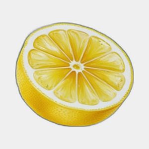 Lemon Packaging