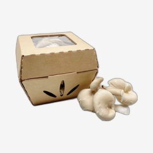Mushroom Packaging