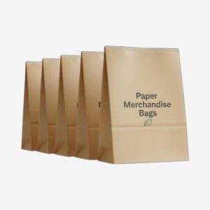 Paper Merchandise Bags