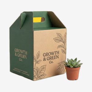 Plant Packaging Wholesale
