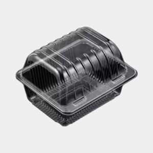 Rectangular Clamshell Packaging