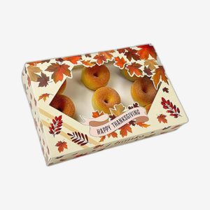 Thanksgiving Compostable Food Boxes