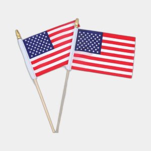 Toothpick Flags