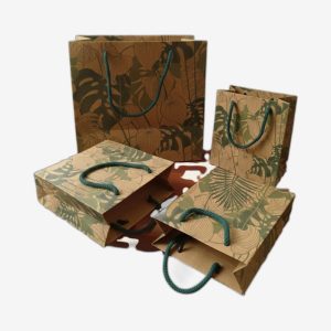 Trapezoid Paper Bags