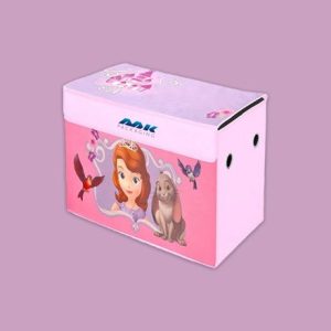 Custom Toy Box