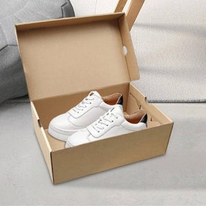 Shoe Foldable Box